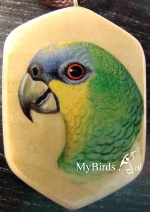 венесуэльский амазон