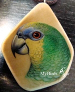 венесуэльский амазон