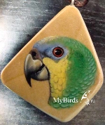 венесуэльский амазон