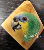 венесуэльский амазон