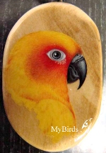 Солнечная аратинга