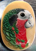 Кубинский амазон