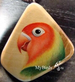 Неразлучник Фишера