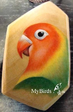 Неразлучник Фишера