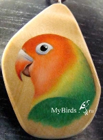 Неразлучник Фишера