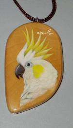 Малый желтохохлый какаду