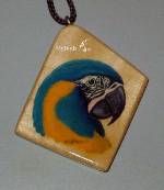 Синегорлый ара