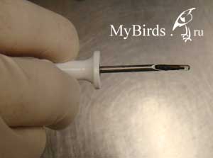 Чип в канале иглы шприца для чипирования