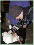 аускультация