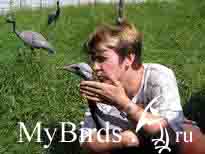 Антонюк Элина Владимировна