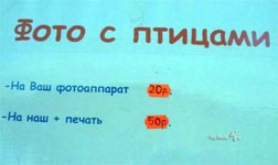 рядом можно сфотографироваться с птицами