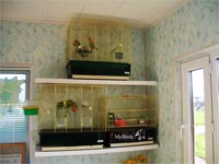 продажа птиц в парке птиц