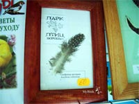 сувениры парка птиц