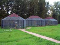 новые вольеры для мелких птиц