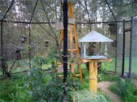 вольер для мелких птиц 