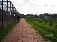 парк птиц Воробьи