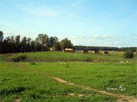 парк птиц Воробьи