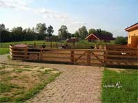 Детский зоопарк в парке птиц