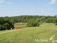 Форумчане портала MyBirds.ru в парке птиц "Воробьи"